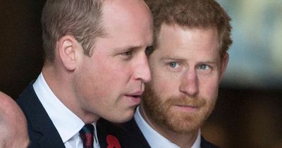 William's pal says Harry has 'crossed a line' and been 'sucked into alien world'