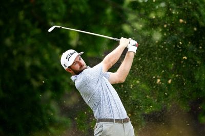 Young enjoys hole-in-one but misses cut at US Open