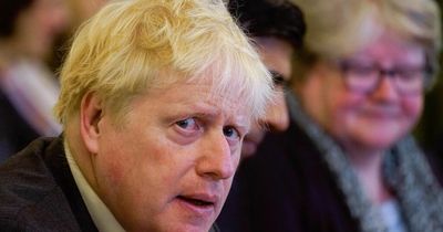 Boris Johnson planning to axe three top ministers in cabinet reshuffle, sources say