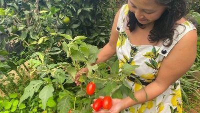 Homegrown produce and swap groups are breaking the supply chains that bind them