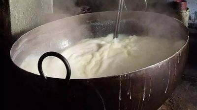 Dismissal of milk producer’s: plea paves way for Goa Dairy polls