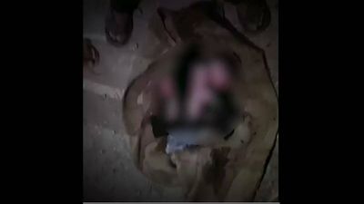 Baby nearly eaten alive by ants in garbage dump in Bareilly dies