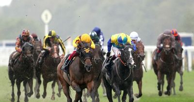 Royal Ascot day 5 full race card and tips - list of runners on Saturday