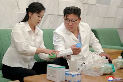 Intestinal disease new worry for North Korea