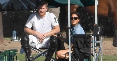 Meghan Markle comforts Prince Harry after polo defeat amid William's 'alien world fears'