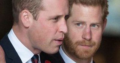 Prince William feels Harry 'crossed line' and been 'sucked into alien world', friend says