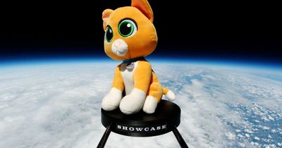 Stuffed cat toy was fired into space from the Peak District and landed in Spalding