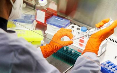 What drives sustained growth of monkeypox cases