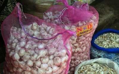 Garlic prices lose pungency, farmers irked in Rajasthan, Madhya Pradesh
