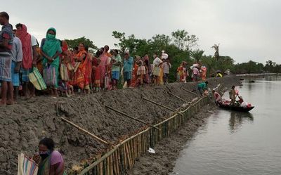COVID-19 worsened matters in Sundarbans: UN report