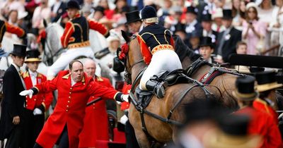 Horse becomes spooked and bucks while pulling Princess Beatrice at Royal Ascot