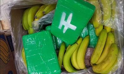 £68m of cocaine delivered with bananas to two supermarkets in Czech Republic
