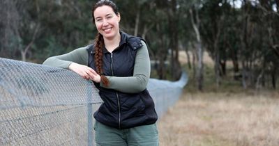 Why a 'leaky fence' and a PhD student are heroes for these native mice