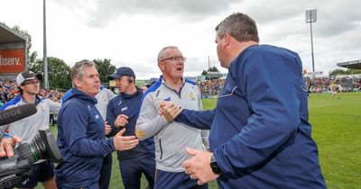 Wexford boss Darragh Egan says side 'ran out of bodies' after Clare comeback