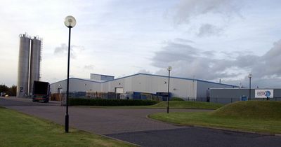 North East manufacturer ENTEK International reports buoyant sales amid European demand