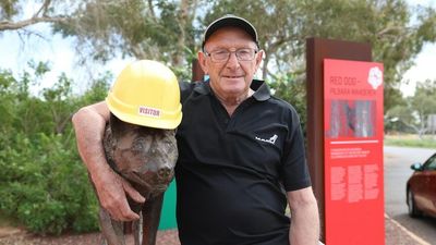 Pilbara stalwart remembers famous furry friend Red Dog