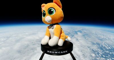 Buzz Lightyear's stuffed cat sidekick 'Sox' sent into orbit before crash landing in UK
