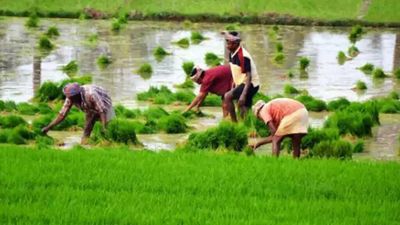 Tamil Nadu: Farm implements given away
