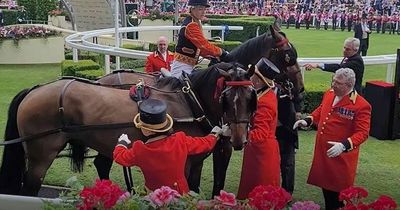 Princess Beatrice's horse brought under control after almost bolting at Ascot