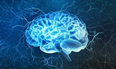 Study: UCI neuroscientists create brain maps after traumatic brain injury