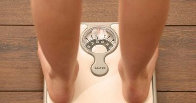 Obese children are more prone to dementia in later life