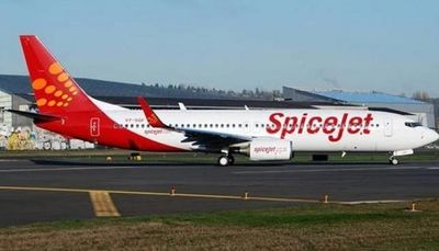Delhi-bound SpiceJet flight returns back after bird hit, alternate plane being arranged
