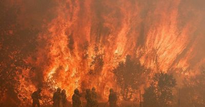 Firefighters in Spain tackle huge wildfires as temperatures soar above 40C