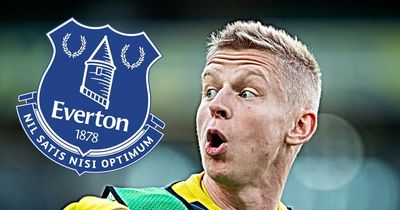 Oleksandr Zinchenko can give Everton ideal transfer option