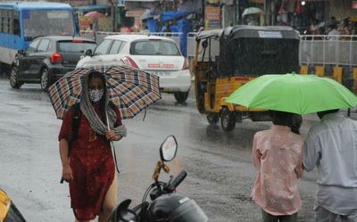 Monsoon active in State, more rain forecast