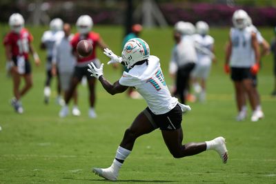 ESPN’s Dan Orlovsky puts Dolphins’ Tyreek Hill on short No. 1 WR list