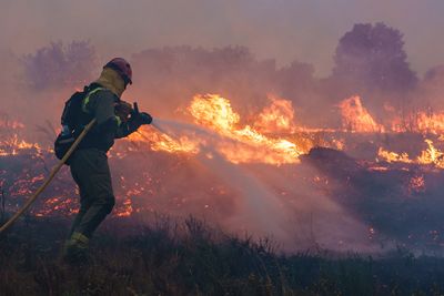 Spain, Germany battle wildfires amid unusual heatwave in Europe