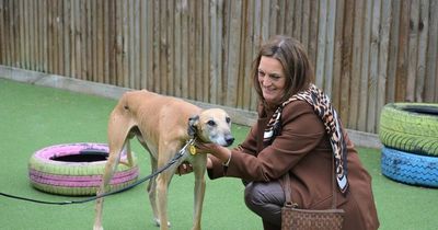 East Kilbride MSP hails 'paw-sitive' charity work of Glasgow's Dogs Trust