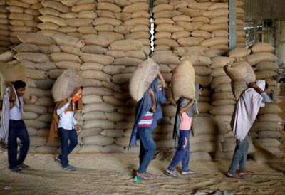 Food crisis to hit nations in second half