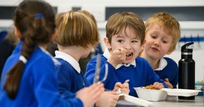 Children will begin receiving free school meals next term, Welsh Government confirms