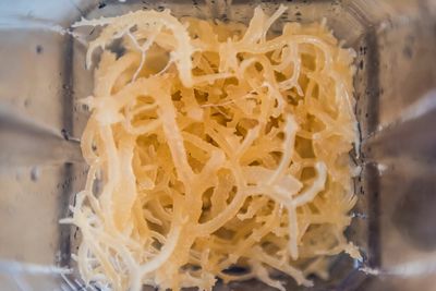 Should you eat sea moss gel?