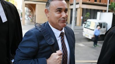 NSW upper house inquiry to probe John Barilaro's appointment as trade commissioner to US