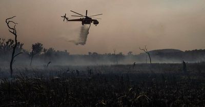Lightning ignited Black Summer blaze in the Hunter, inquiry hears