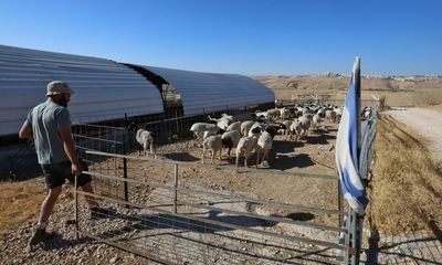 ‘The land beyond the road is forbidden’: Israeli settler shepherds displace Palestinians