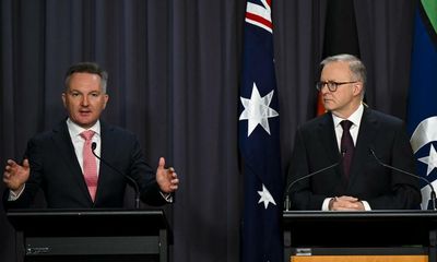 Chris Bowen says states can decide how to provide backup energy generation but must meet 2030 target