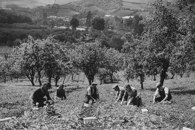 Scotland's stolen Eden and the co-operatives rebuilding lost spirit