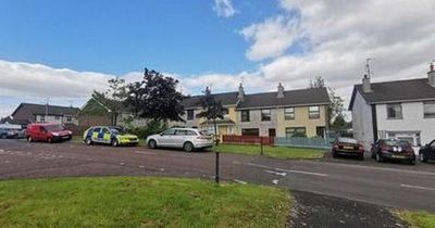 Man arrested on suspicion of murder after body of pensioner discovered at Tyrone property