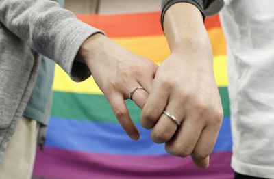 Japan court rules same-sex marriage ban is not unconstitutional