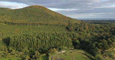 Plan to open ancient woodland to the public for the first time in 500 years