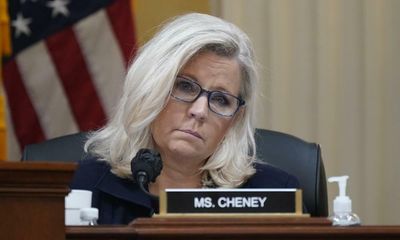 Liz Cheney’s condemnation of Trump’s lies wins over Democrats