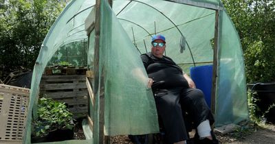 Dumfries community garden project could be scrapped following spate of vandalism