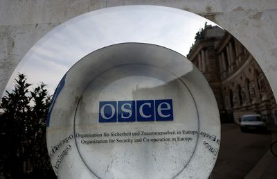 Belarus says it is resuming verification activities under arms control treaties