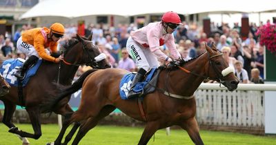 Arcadian Sunrise tragically dies from mystery illness two days after Royal Ascot run