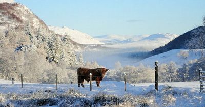 Record numbers of Scots will holiday at home this year