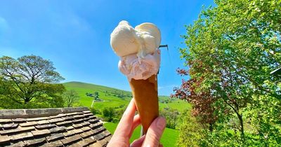 What's your favourite ice cream or lolly?