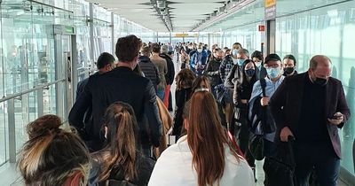 Heathrow urges airlines to axe flights in aftermath of baggage system failure